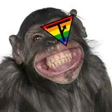 turdflingingmonkey from patreon