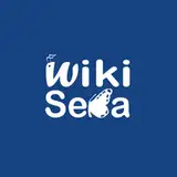 WikiSeba from patreon