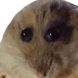 MrTheMan from patreon