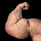MaxMuscle3D from patreon