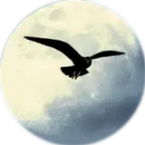 edgarnightbird from patreon