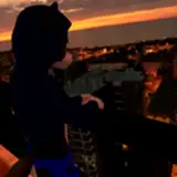 TreedTail from gumroad