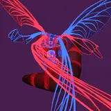 Disjointedkey from patreon