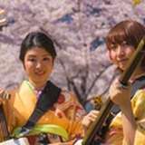 Learn Shamisen from patreon